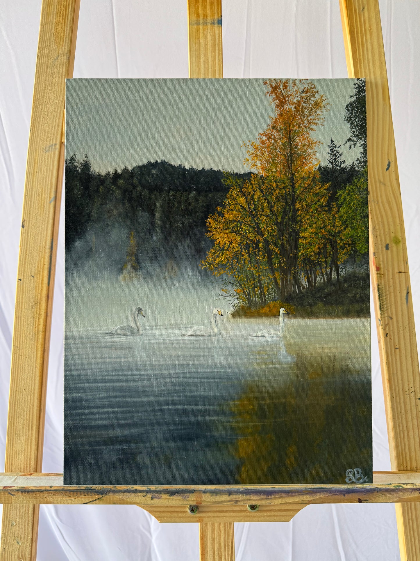 Morning by the lake