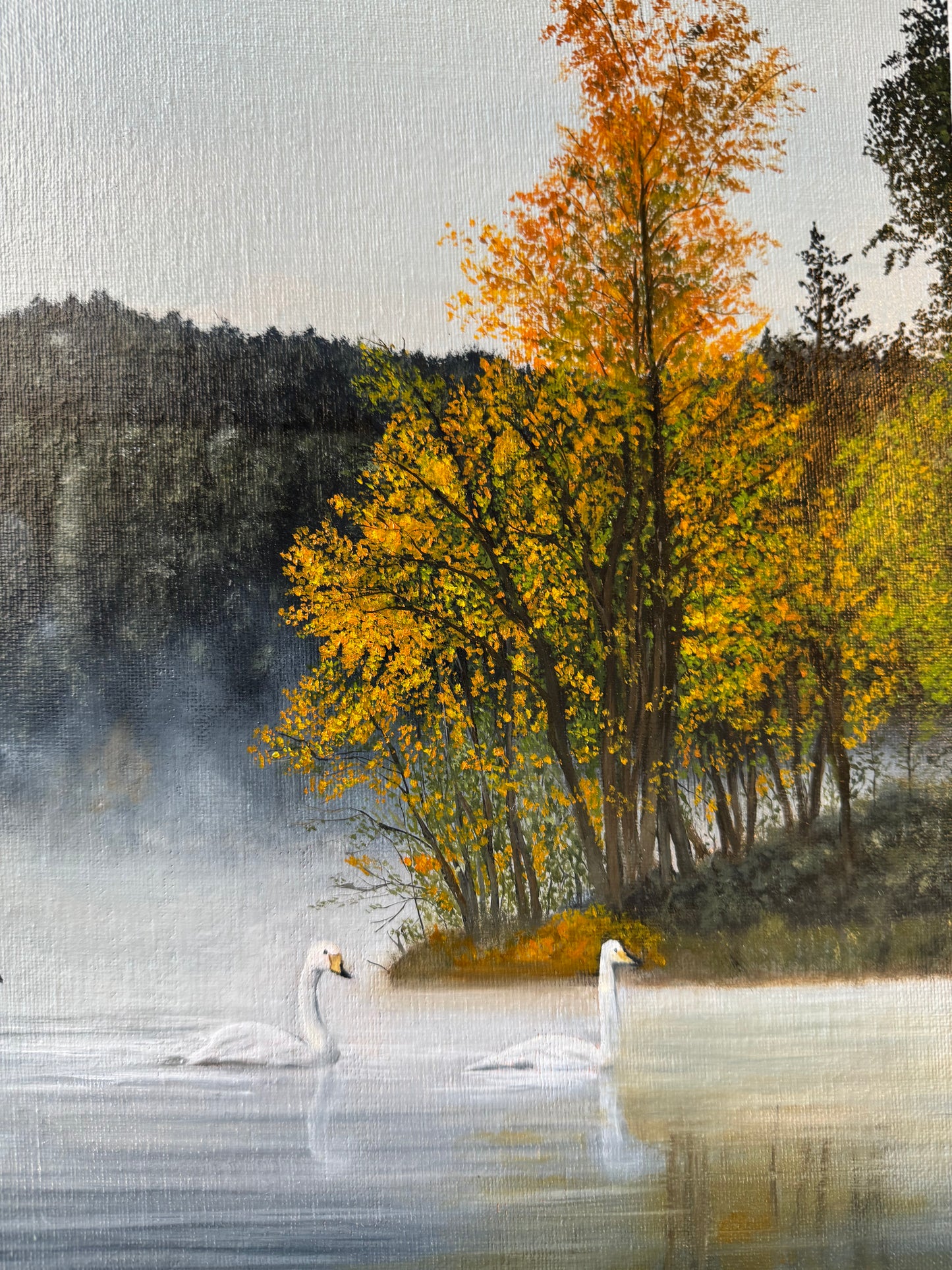 Morning by the lake