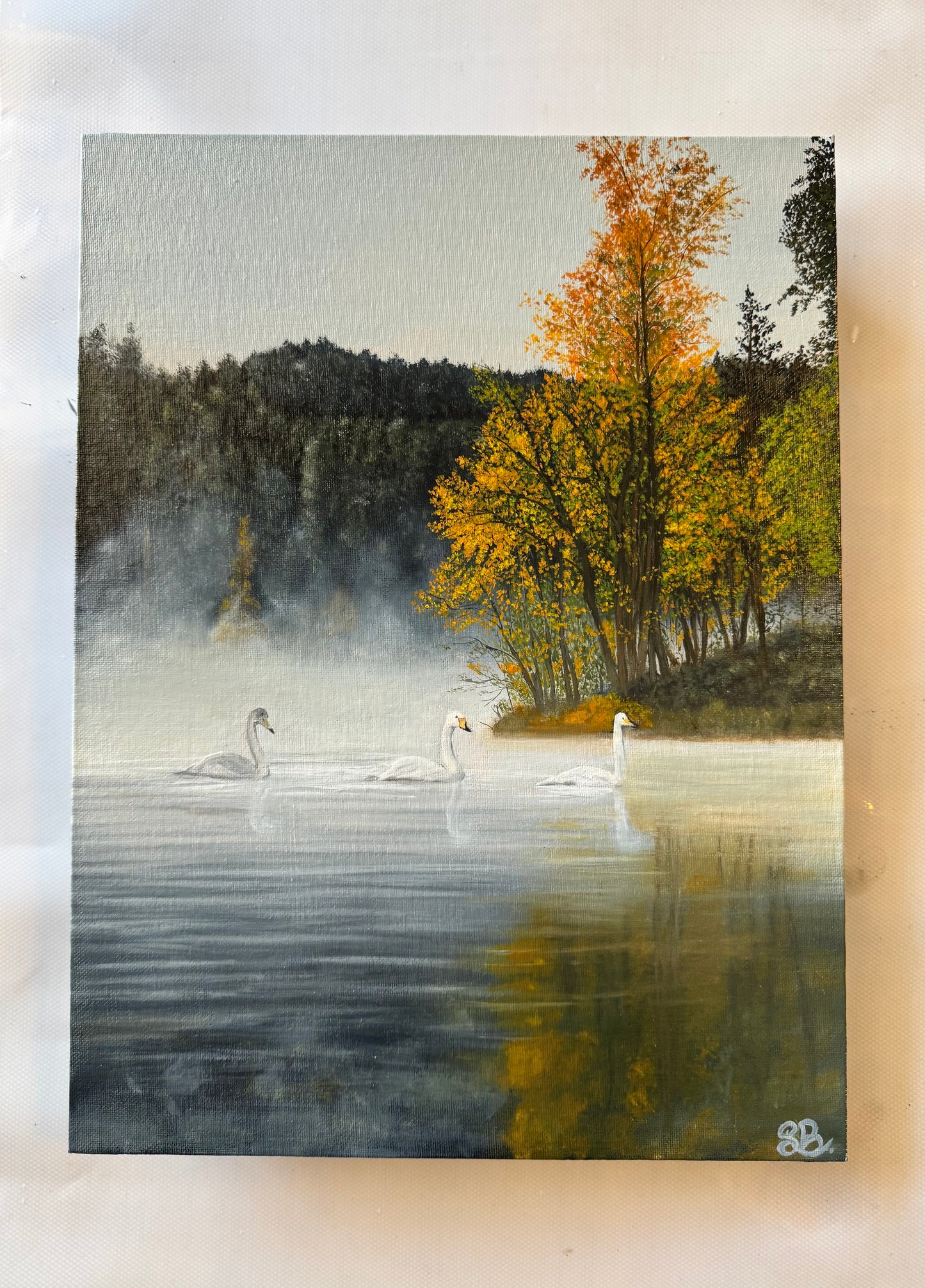 Morning by the lake
