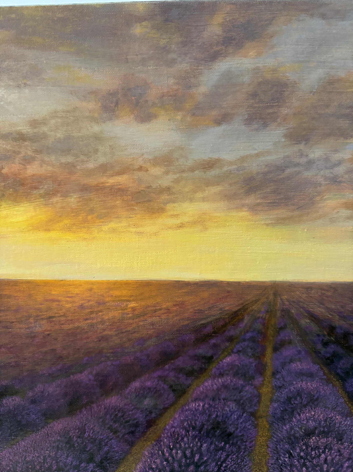 Lavender’s Breath
