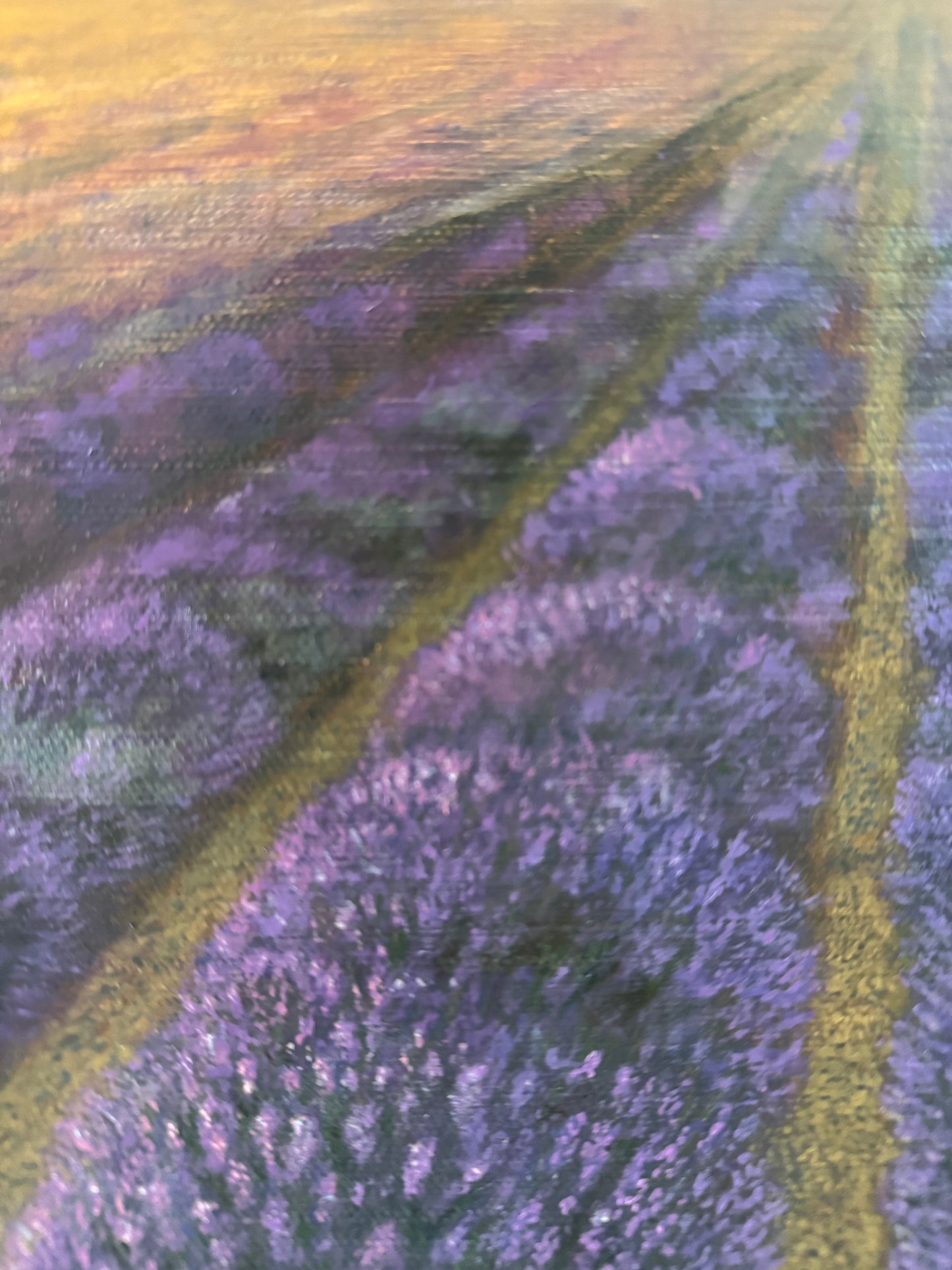 Lavender’s Breath