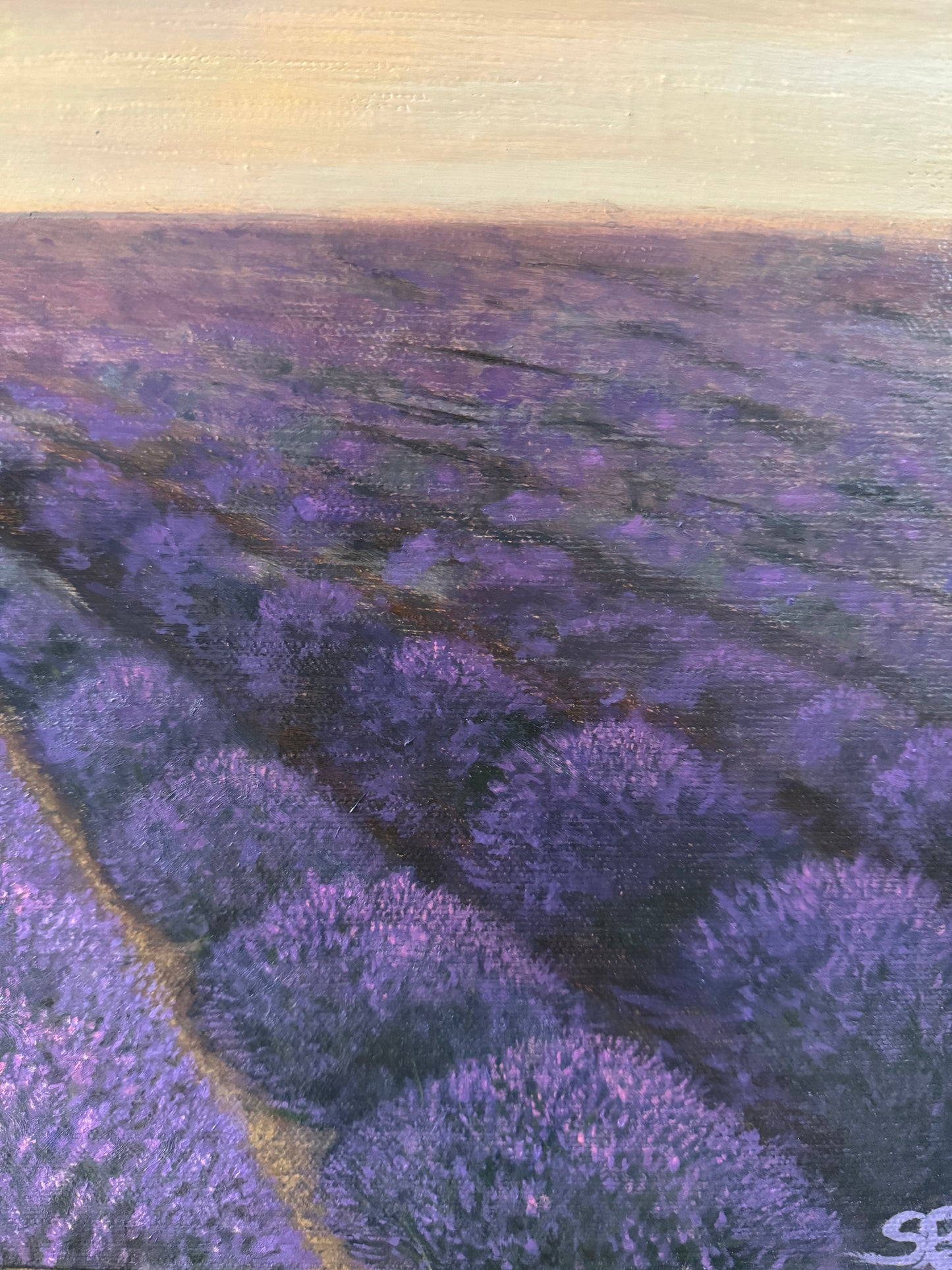 Lavender’s Breath
