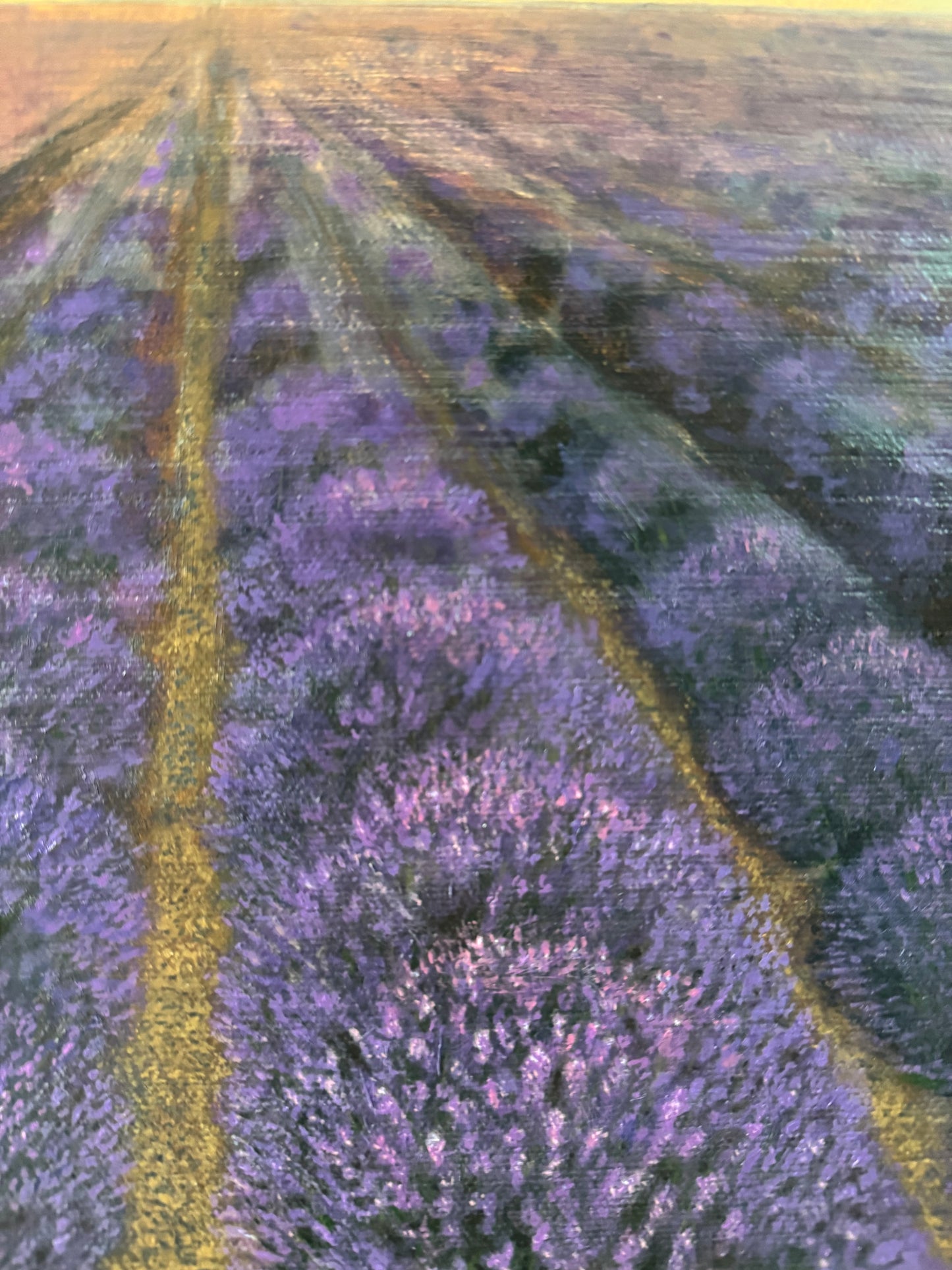 Lavender’s Breath