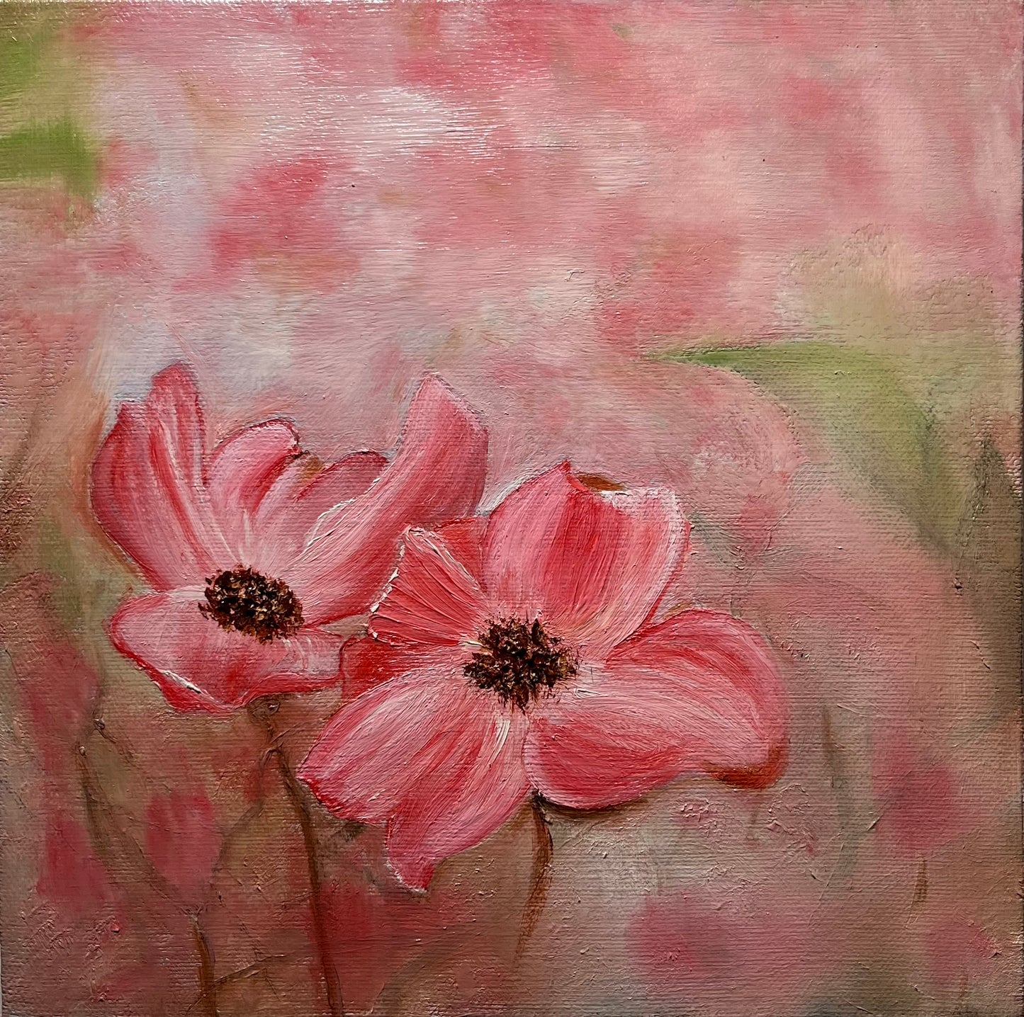 Dreamy Blossoms