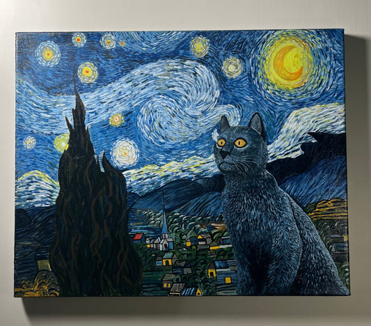 Reimagining Starry Night
